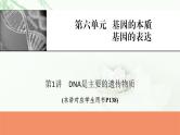 2024届高考生物一轮复习第六单元基因的本质基因的表达第1讲DNA是主要的遗传物质课件