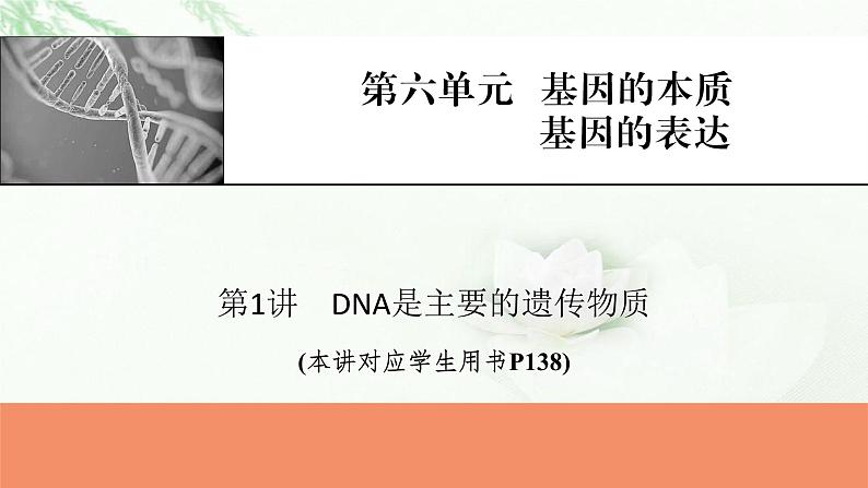 2024届高考生物一轮复习第六单元基因的本质基因的表达第1讲DNA是主要的遗传物质课件第1页