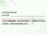 2024届高考生物一轮复习第六单元基因的本质基因的表达第1讲DNA是主要的遗传物质课件