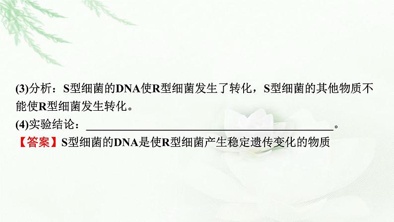 2024届高考生物一轮复习第六单元基因的本质基因的表达第1讲DNA是主要的遗传物质课件第6页