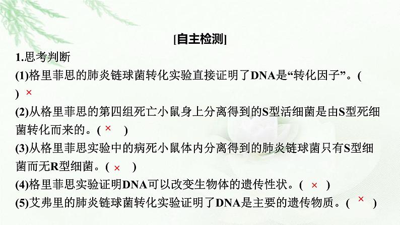 2024届高考生物一轮复习第六单元基因的本质基因的表达第1讲DNA是主要的遗传物质课件第8页