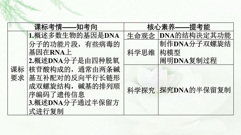 2024届高考生物一轮复习第六单元基因的本质基因的表达第2讲DNA的结构 DNA的复制 基因通常是有遗传效应的DNA片段课件第2页