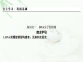 2024届高考生物一轮复习第六单元基因的本质基因的表达第2讲DNA的结构 DNA的复制 基因通常是有遗传效应的DNA片段课件