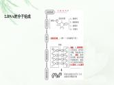 2024届高考生物一轮复习第六单元基因的本质基因的表达第2讲DNA的结构 DNA的复制 基因通常是有遗传效应的DNA片段课件