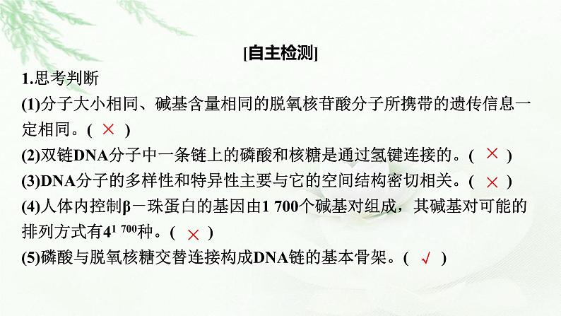 2024届高考生物一轮复习第六单元基因的本质基因的表达第2讲DNA的结构 DNA的复制 基因通常是有遗传效应的DNA片段课件第6页