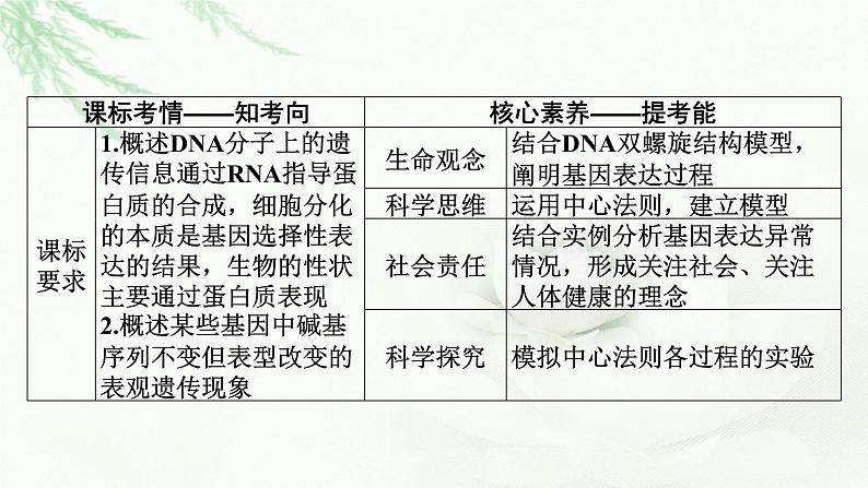 2024届高考生物一轮复习第六单元基因的本质基因的表达第3讲基因的表达课件02