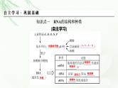 2024届高考生物一轮复习第六单元基因的本质基因的表达第3讲基因的表达课件
