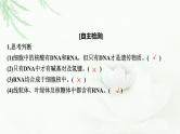 2024届高考生物一轮复习第六单元基因的本质基因的表达第3讲基因的表达课件