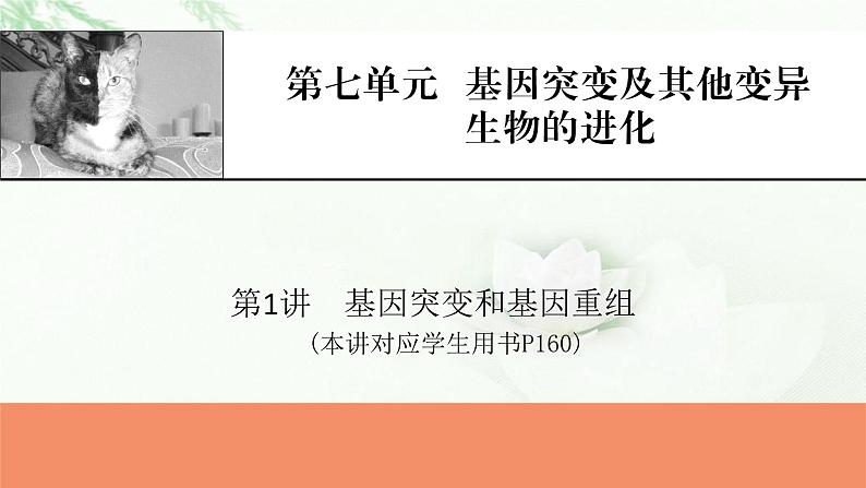 2024届高考生物一轮复习第七单元基因突变及其他变异生物的进化第1讲基因突变和基因重组课件01