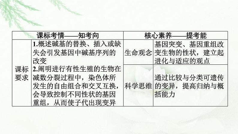 2024届高考生物一轮复习第七单元基因突变及其他变异生物的进化第1讲基因突变和基因重组课件02