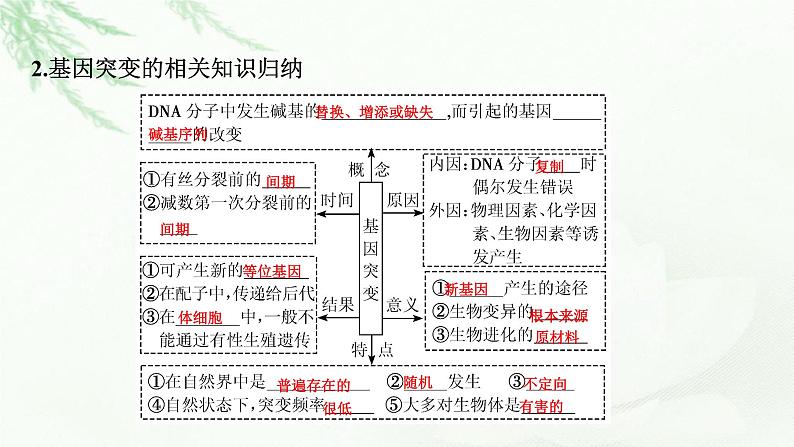 2024届高考生物一轮复习第七单元基因突变及其他变异生物的进化第1讲基因突变和基因重组课件04