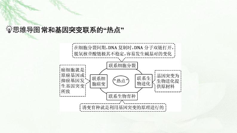 2024届高考生物一轮复习第七单元基因突变及其他变异生物的进化第1讲基因突变和基因重组课件05