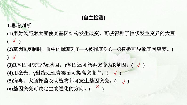 2024届高考生物一轮复习第七单元基因突变及其他变异生物的进化第1讲基因突变和基因重组课件06