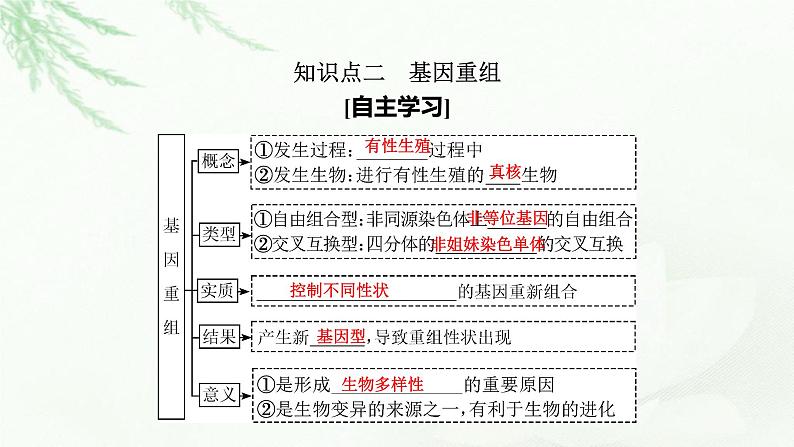 2024届高考生物一轮复习第七单元基因突变及其他变异生物的进化第1讲基因突变和基因重组课件08