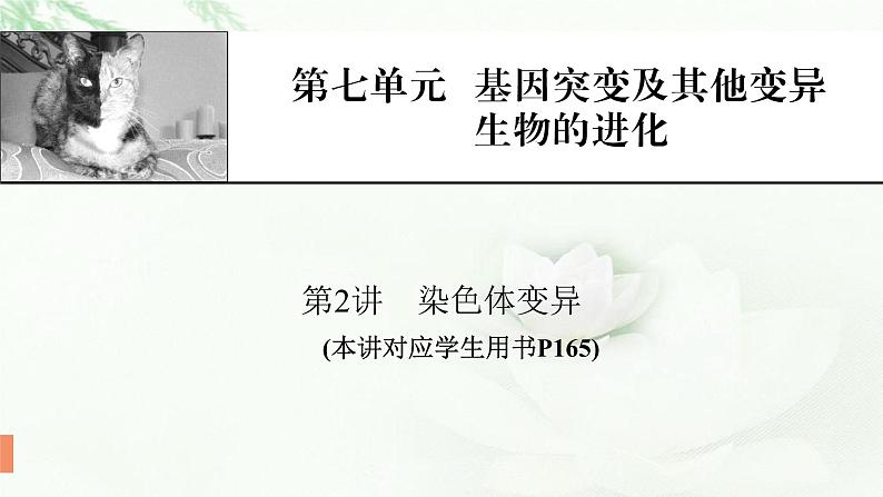 2024届高考生物一轮复习第七单元基因突变及其他变异生物的进化第2讲染色体变异课件01