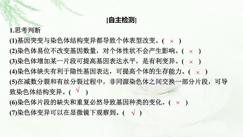 2024届高考生物一轮复习第七单元基因突变及其他变异生物的进化第2讲染色体变异课件06