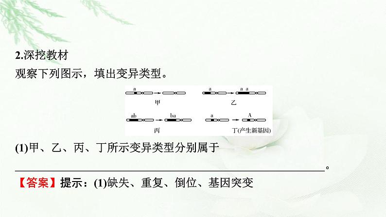 2024届高考生物一轮复习第七单元基因突变及其他变异生物的进化第2讲染色体变异课件07