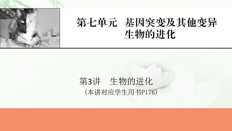 2024届高考生物一轮复习第七单元基因突变及其他变异生物的进化第3讲生物的进化课件第1页