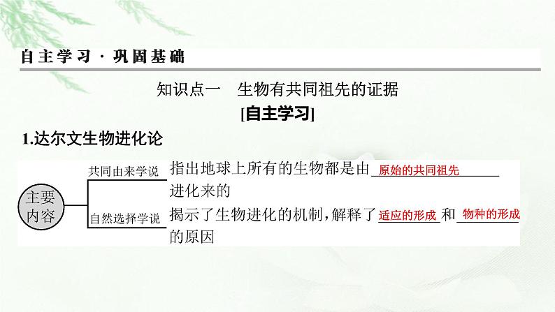 2024届高考生物一轮复习第七单元基因突变及其他变异生物的进化第3讲生物的进化课件第3页