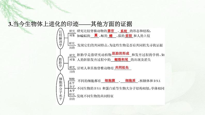 2024届高考生物一轮复习第七单元基因突变及其他变异生物的进化第3讲生物的进化课件第5页