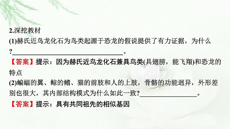 2024届高考生物一轮复习第七单元基因突变及其他变异生物的进化第3讲生物的进化课件第7页