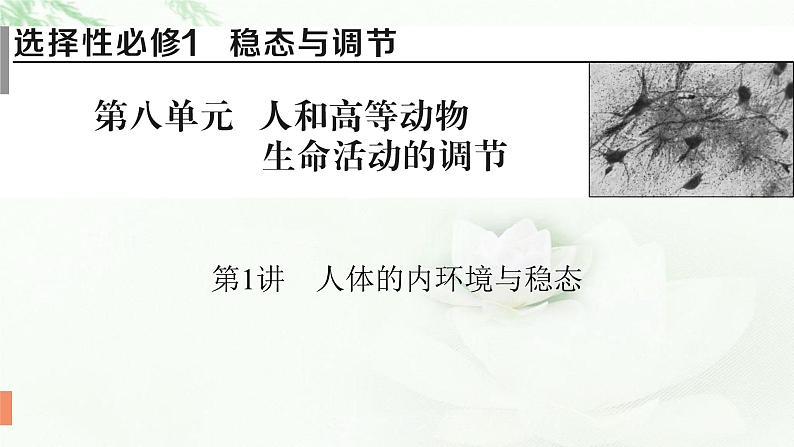 2024届高考生物一轮复习第八单元人和高等动物生命活动的调节第1讲人体的内环境与稳态课件第1页