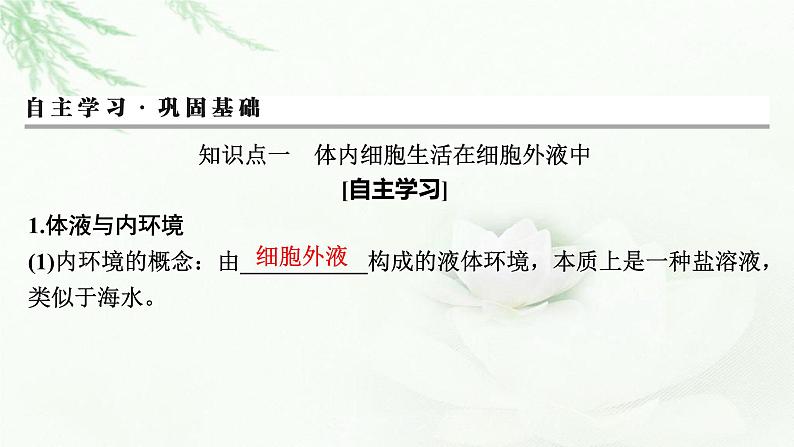 2024届高考生物一轮复习第八单元人和高等动物生命活动的调节第1讲人体的内环境与稳态课件第3页