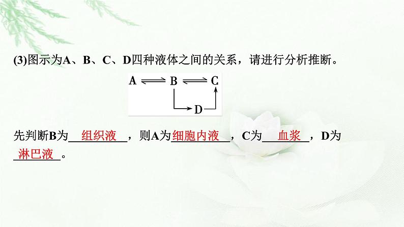 2024届高考生物一轮复习第八单元人和高等动物生命活动的调节第1讲人体的内环境与稳态课件第5页