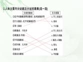 2024届高考生物一轮复习第八单元人和高等动物生命活动的调节第3讲体液调节课件