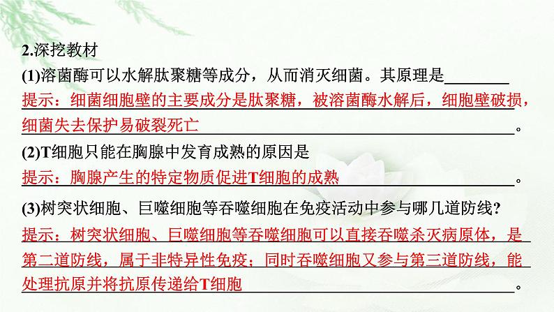 2024届高考生物一轮复习第八单元人和高等动物生命活动的调节第4讲免疫调节课件第7页