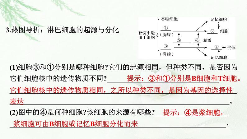 2024届高考生物一轮复习第八单元人和高等动物生命活动的调节第4讲免疫调节课件第8页