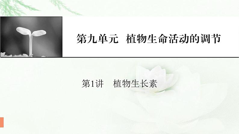 2024届高考生物一轮复习第九单元植物生命活动的调节第1讲植物生长素课件01