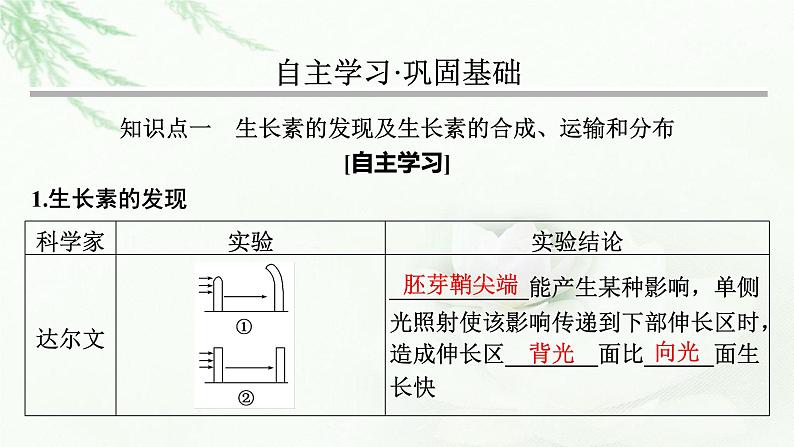 2024届高考生物一轮复习第九单元植物生命活动的调节第1讲植物生长素课件03