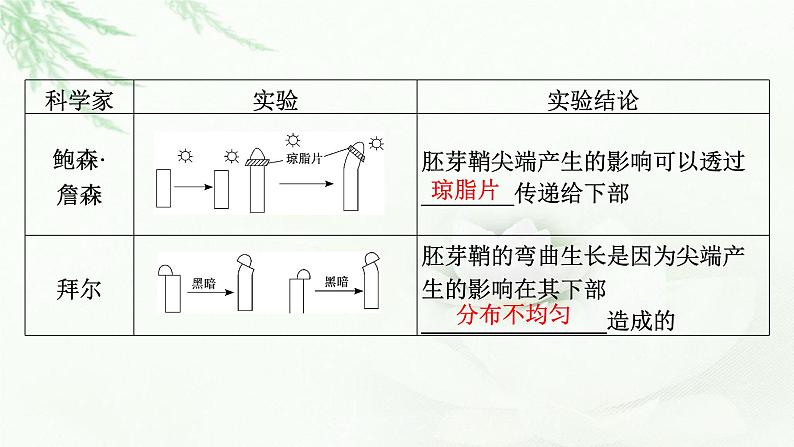 2024届高考生物一轮复习第九单元植物生命活动的调节第1讲植物生长素课件04