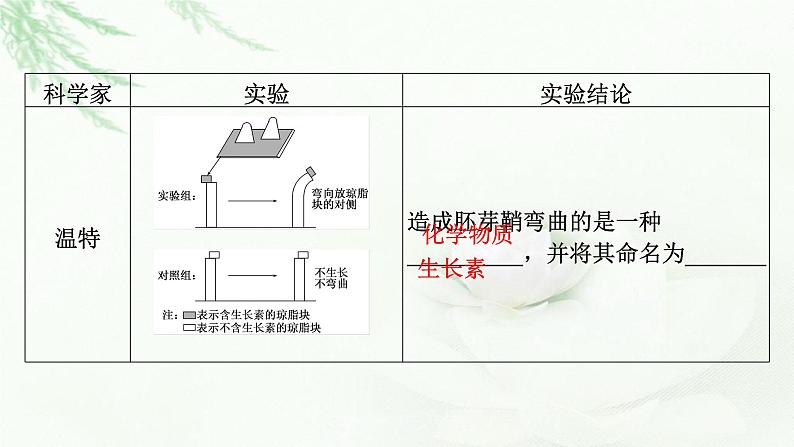 2024届高考生物一轮复习第九单元植物生命活动的调节第1讲植物生长素课件05