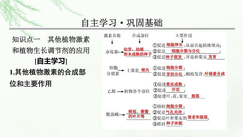 2024届高考生物一轮复习第九单元植物生命活动的调节第2讲其他植物激素植物生长调节剂的应用环境因素参与调节植物的生命活动课件03