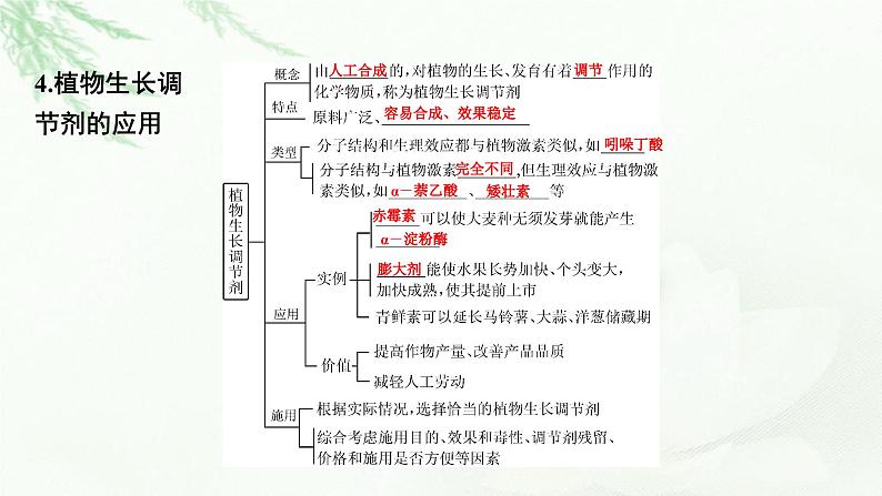 2024届高考生物一轮复习第九单元植物生命活动的调节第2讲其他植物激素植物生长调节剂的应用环境因素参与调节植物的生命活动课件06