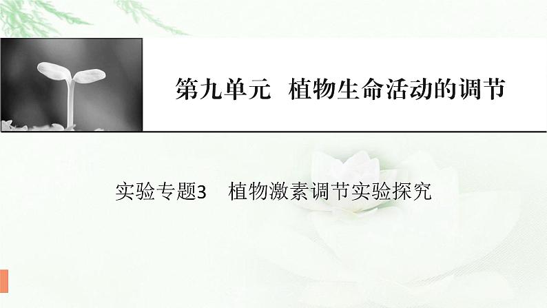 2024届高考生物一轮复习第九单元植物生命活动的调节实验专题3植物激素调节实验探究课件第1页