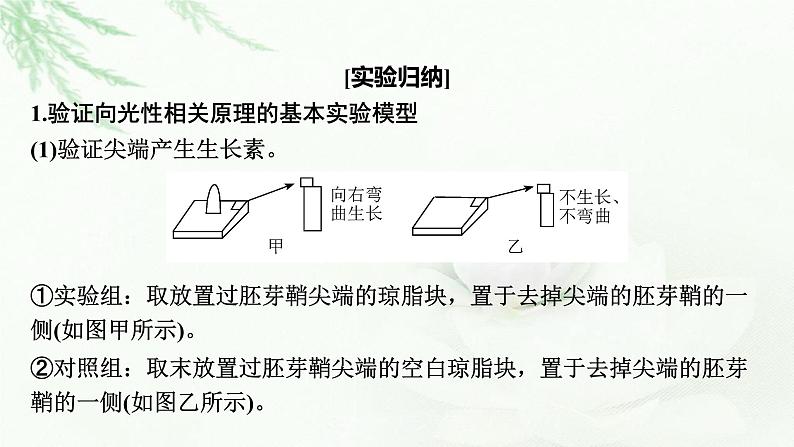 2024届高考生物一轮复习第九单元植物生命活动的调节实验专题3植物激素调节实验探究课件第2页