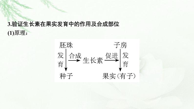 2024届高考生物一轮复习第九单元植物生命活动的调节实验专题3植物激素调节实验探究课件第6页