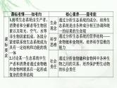 2024届高考生物一轮复习第十一单元生态系统人与环境第1讲生态系统的结构课件