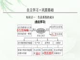 2024届高考生物一轮复习第十一单元生态系统人与环境第1讲生态系统的结构课件