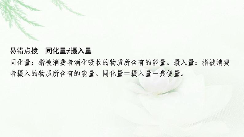 2024届高考生物一轮复习第十一单元生态系统人与环境第2讲生态系统的能量流动、物质循环课件第5页