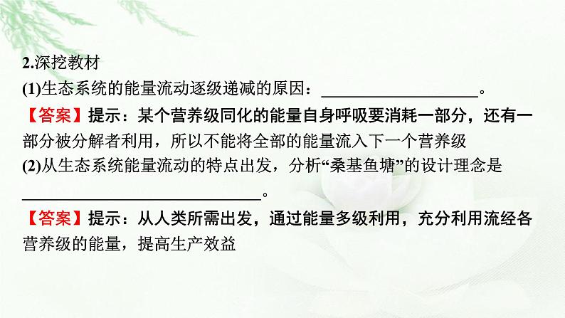 2024届高考生物一轮复习第十一单元生态系统人与环境第2讲生态系统的能量流动、物质循环课件第8页