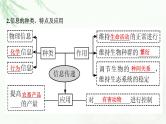 2024届高考生物一轮复习第十一单元生态系统人与环境第3讲生态系统的信息传递、稳定性课件
