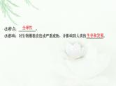 2024届高考生物一轮复习第十一单元生态系统人与环境第4讲人与环境课件