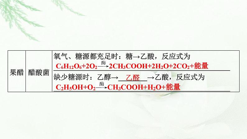 2024届高考生物一轮复习第十二单元发酵工程第1讲传统发酵技术的应用课件第4页