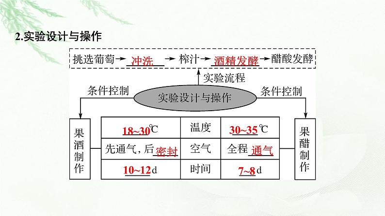 2024届高考生物一轮复习第十二单元发酵工程第1讲传统发酵技术的应用课件第5页