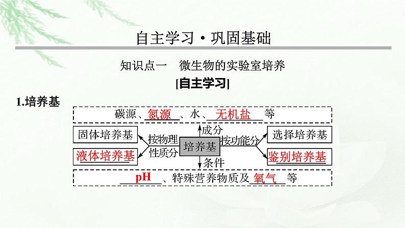 2024届高考生物一轮复习第十二单元发酵工程第2讲微生物的培养与应用课件第3页