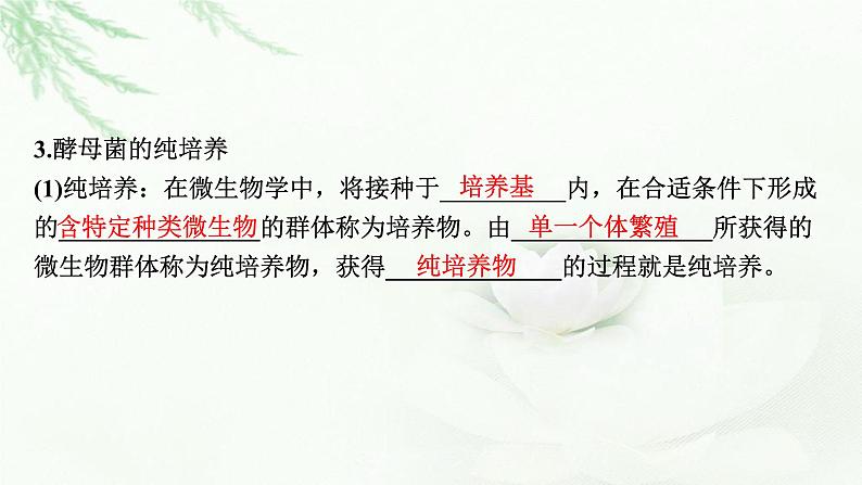 2024届高考生物一轮复习第十二单元发酵工程第2讲微生物的培养与应用课件第5页